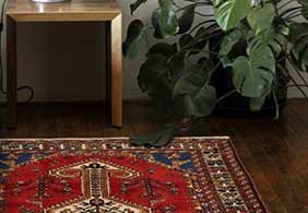 ecarpet